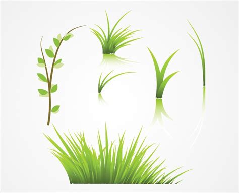 Grass Vector Elements Free Free Vector Download Freeimages