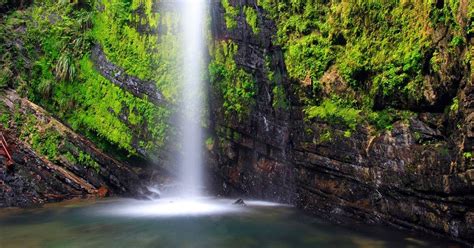 Beautiful Place Called Earth El Yunque National Forest