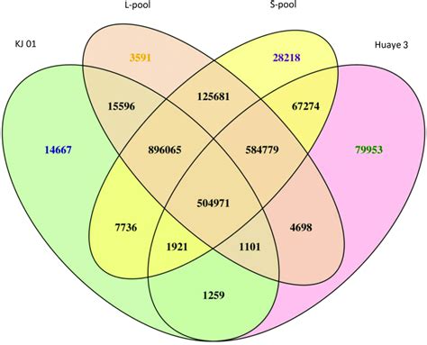 Venn Diagram Of Snp Statistics Between Samples The Number Of Varying