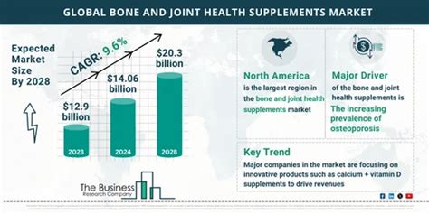 Market Research Infographics On Bone And Joint Health Supplements