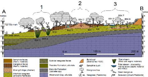 A Schematic Illustration Of The Local Geomorphology And Location Of