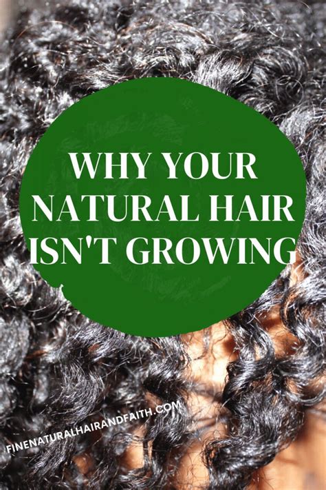 Why Your Natural Hair Isnt Growing Fine Natural Hair Care And Faith Based Self Care