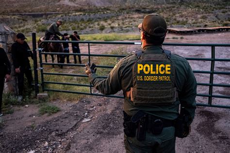 Border Patrol Using Wild Mustangs To Patrol Border With Mexico