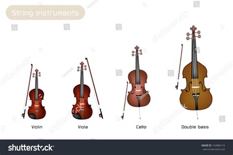 Illustration Collection Beautiful Musical Instrument String Stock Vector 142886116 Shutterstock