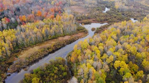 Sights And Sounds Above The Betsie River 9and10 News