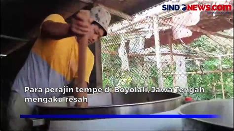 Harga Kedelai Di Boyolali Tembus Rp Ribu Perajin Perkecil Ukuran