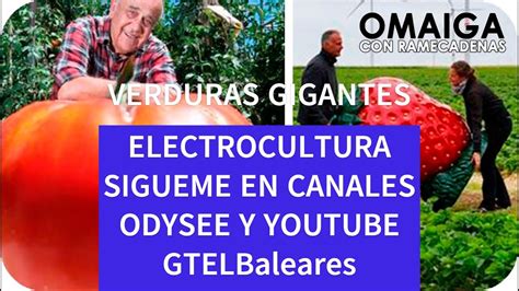 VERDURAS GIGANTES ELECTROCULTURA 6ª Parte YouTube