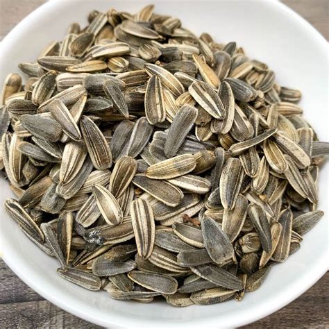 How To Harvest And Roast In Shell Sunflower Seeds 47 OFF