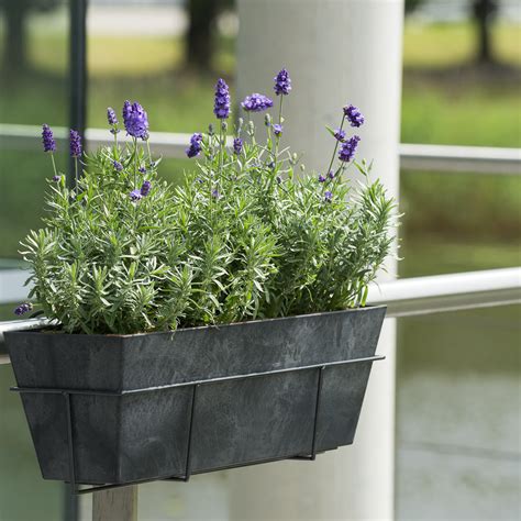 Ella Artstone Balcony Trough Planter Black Hortology Hortology