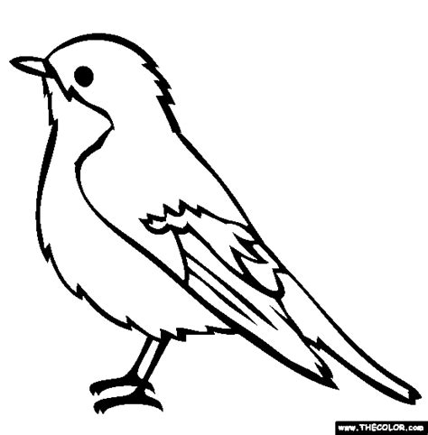 Bird Online Coloring Pages Page 1 Bird Coloring Pages Bird Outline