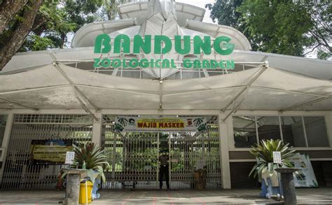 Kebun Binatang Bandung Jam Buka Dan Harga Tiket