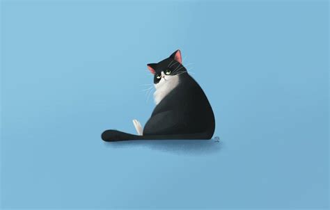 Minimalist Cat Wallpapers - Top Free Minimalist Cat Backgrounds ...