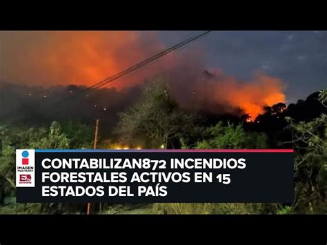 Reporta Conafor 11 Incendios Forestales En Cinco Estados Del País