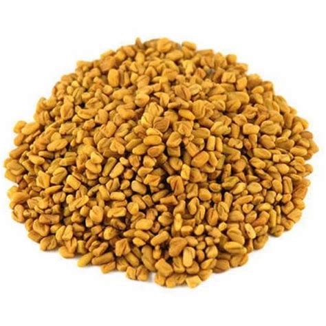 Fenugreek Seed At Rs Kilogram Kasuri Methi Seed In Chennai Id