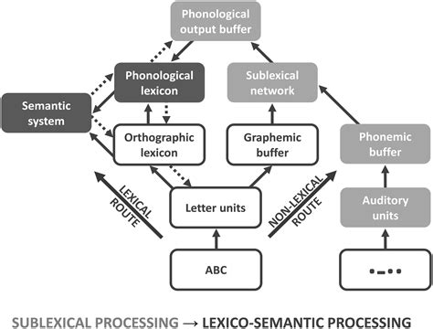 Frontiers Transition From Sublexical To Lexico Semantic Stimulus