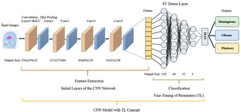 Proposed Custom CNN Architecture With TL Fine Tuning Approach And SVM