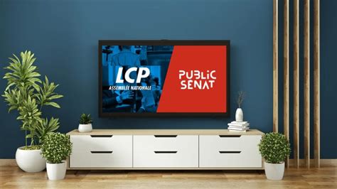 Francetv Publicit Devient La R Gie Publicitaire De Lcp Assembl E