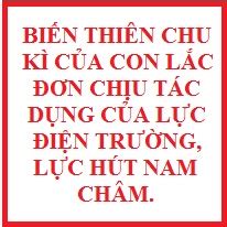 Bi N Thi N Chu K C A Con L C N Ch U T C D Ng C A L C I N Tr Ng