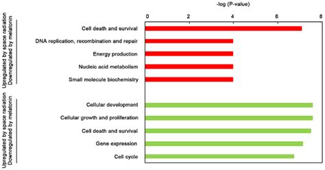 Molecular And Cellular Function Analysis Of Genes Responsive To