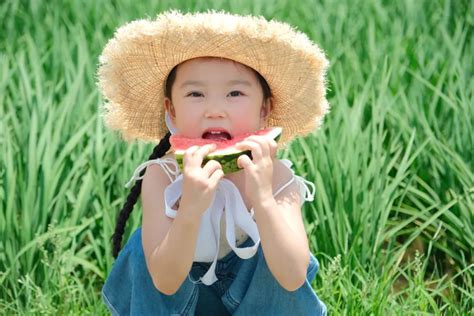 风吹稻浪 在这里找到梦幻夏天丨有一种叫云南的生活之365天澎湃号·媒体澎湃新闻 The Paper