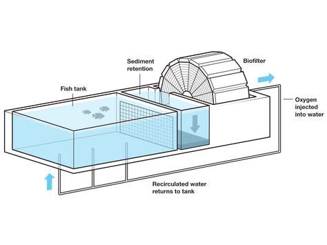 17 Fish Farming Tanks ideas | fish farming, aquaculture, aquaponics