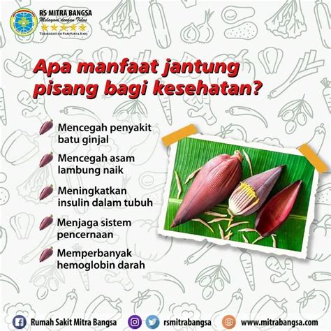 Apa Manfaat Jantung Pisang Bagi Kesehatan Atmago