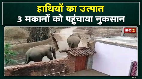 Elephant Attack कबीरधाम जिले के गांवों में भी घूम रहा हाथियों का दल मकानों को पहुंचाया