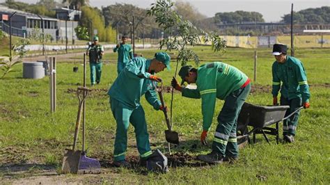 Día mundial del medioambiente la Ciudad plantará más de 22 mil árboles