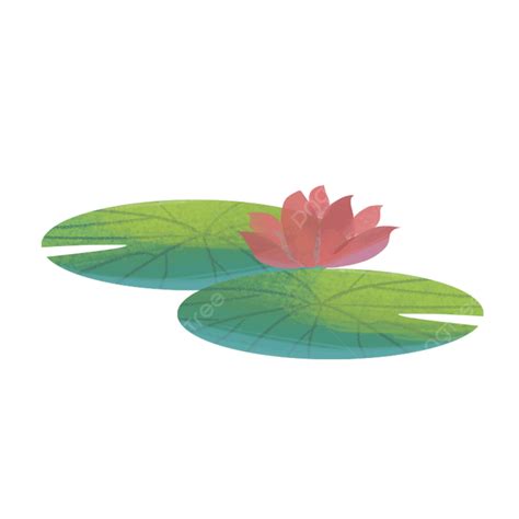 Lotus Leaf Lotus Lotus Leaf Lotus Plant Png Transparent Clipart