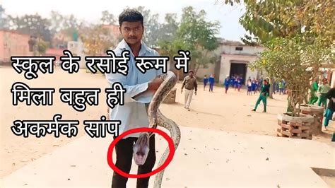 स्कूल में घुसा बहुत ही बड़ा अजगर सांप 🐍😱🔥 Youtube