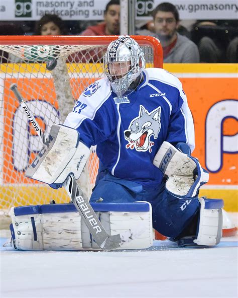 Timpano is Tops! - Sudbury Wolves