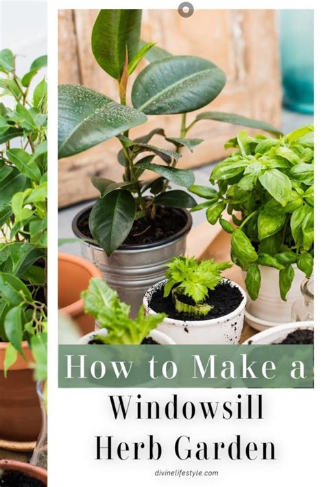 How To Make A Windowsill Herb Garden Diy Herb Container Garden Indoor