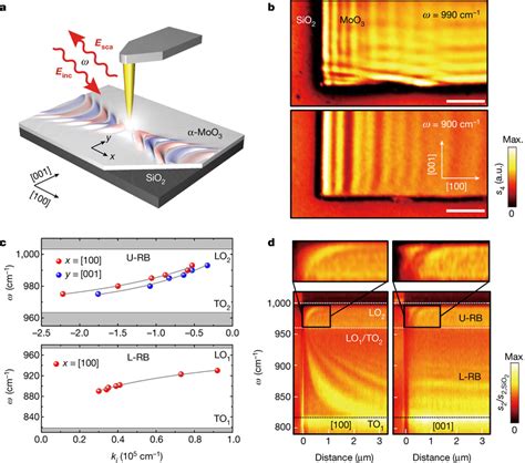 Real Space Imaging And Nano Spectroscopy Of An α Moo3 Flake A