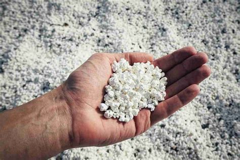 In questa spiaggia sembra ci siano i pop corn invece della sabbia è