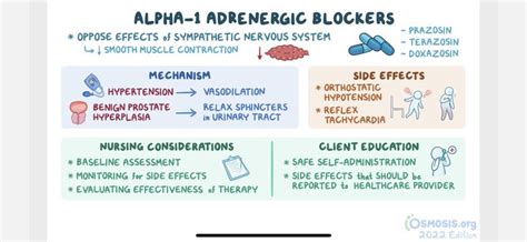 Alpha-1 adrenergic blockers: Nursing pharmacology - Osmosis Video Library