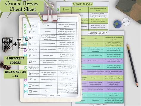 Cranial Nerves Cheat Sheets - Study In Nursing