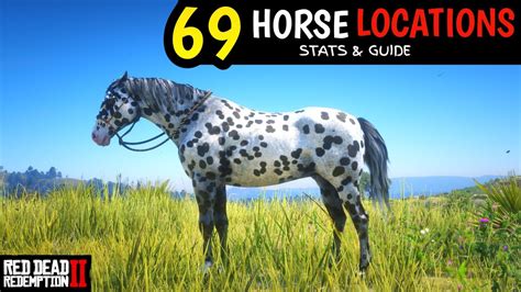 All 69 Unique Horses With Map Locations In Red Dead Redemption 2 - YouTube