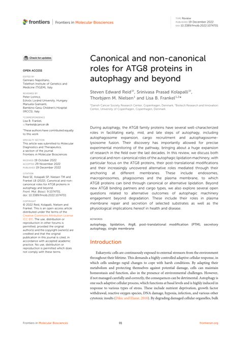 Pdf Canonical And Non Canonical Roles For Atg8 Proteins In Autophagy