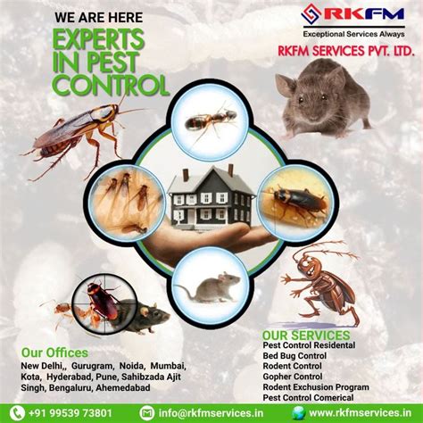 🚫 Say Goodbye To Pests 🐜 Our Expert Pest Control Services Have You