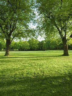 17 Best "Outdoor" Backdrops ideas | outdoor backdrops, backdrops, photography backdrop