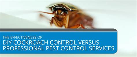 The Effectiveness Of Diy Cockroach Control Versus Professional Pest Control Services Heattech