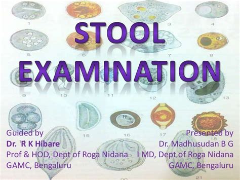 STOOL EXAMINATION