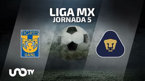 Tigres Vs Pumas En Vivo Donde Ver Tigres Vs Pumas En Vivo Partido