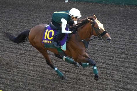 【宝塚記念】べラジオオペラ・横山和生騎手 「一本芯が通ってきたかなと強く感じます」｜競馬ニュース｜競馬予想のウマニティ