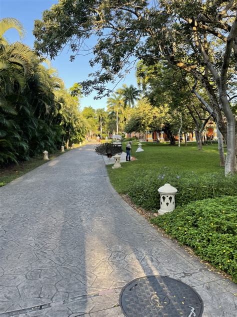 Gartenanlage Iberostar Paraiso Beach Playa Del Carmen Playacar