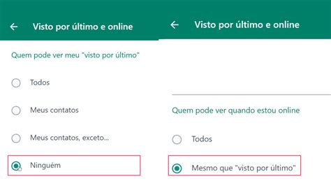 Como Esconder O Status Online No Whatsapp M Todo F Cil E R Pido