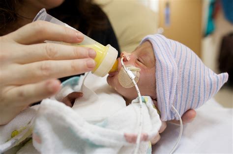 Maternal Milk Tied To Better Outcomes For Preemies Harvard Gazette