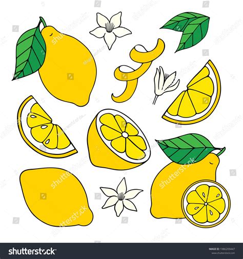 How To Draw A Lemon Slice