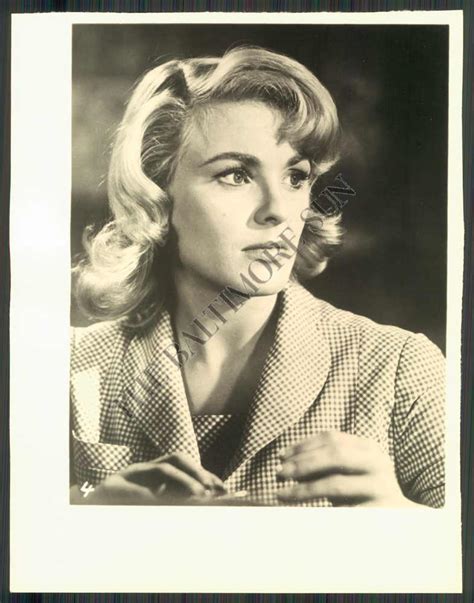 BS PHOTO hjm-725 Kathleen Crowley Actress | eBay