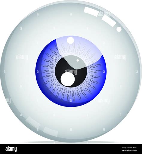 Blue Eye Stock Vektorgrafiken Kaufen Alamy